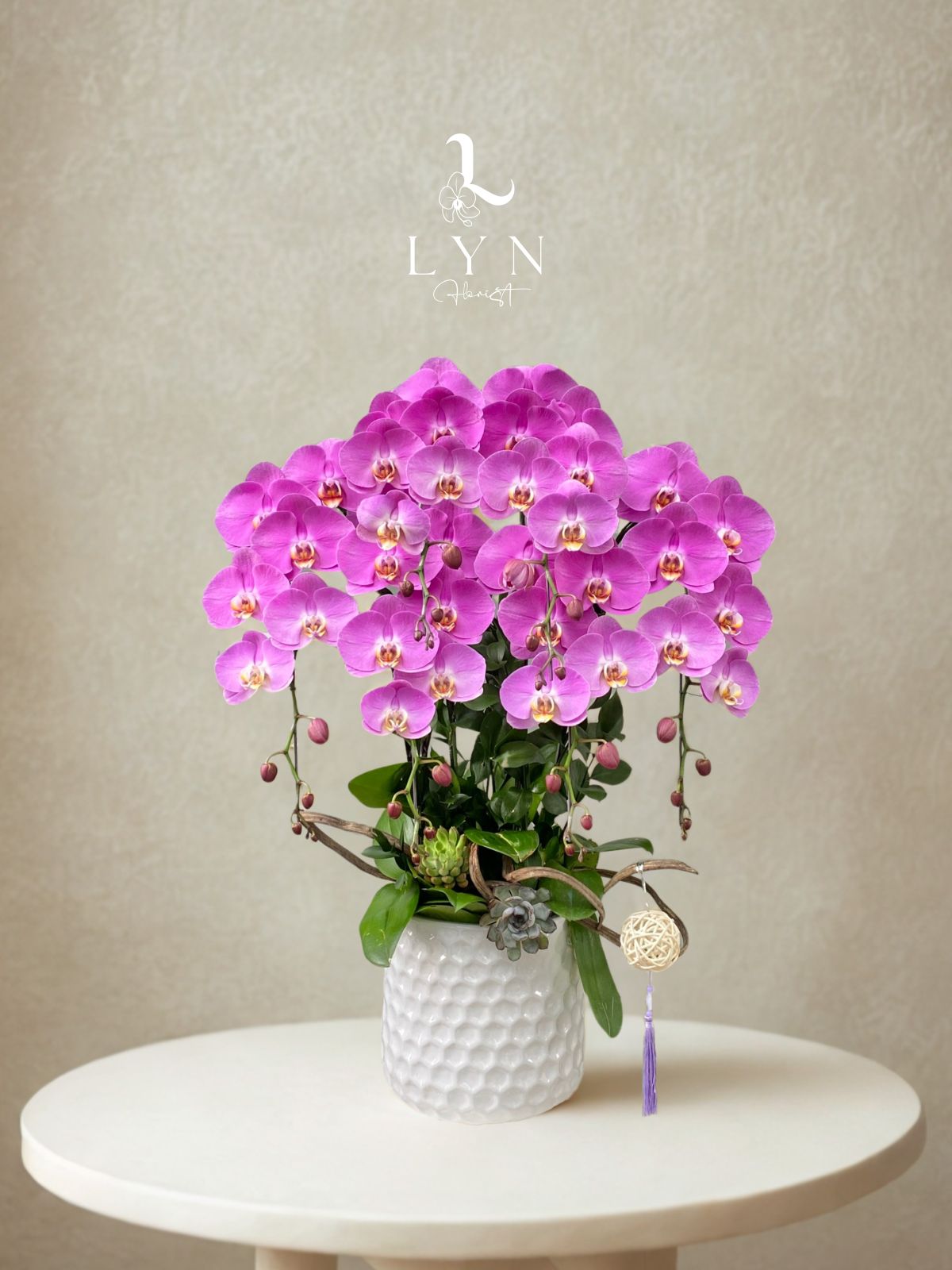 Chậu Hoa Lan Hồng